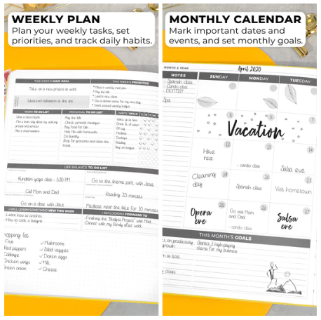 Clever Fox Planner/Jorunal Daily PRO A4 (undated)